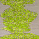 Chartreuse Runner Swatch