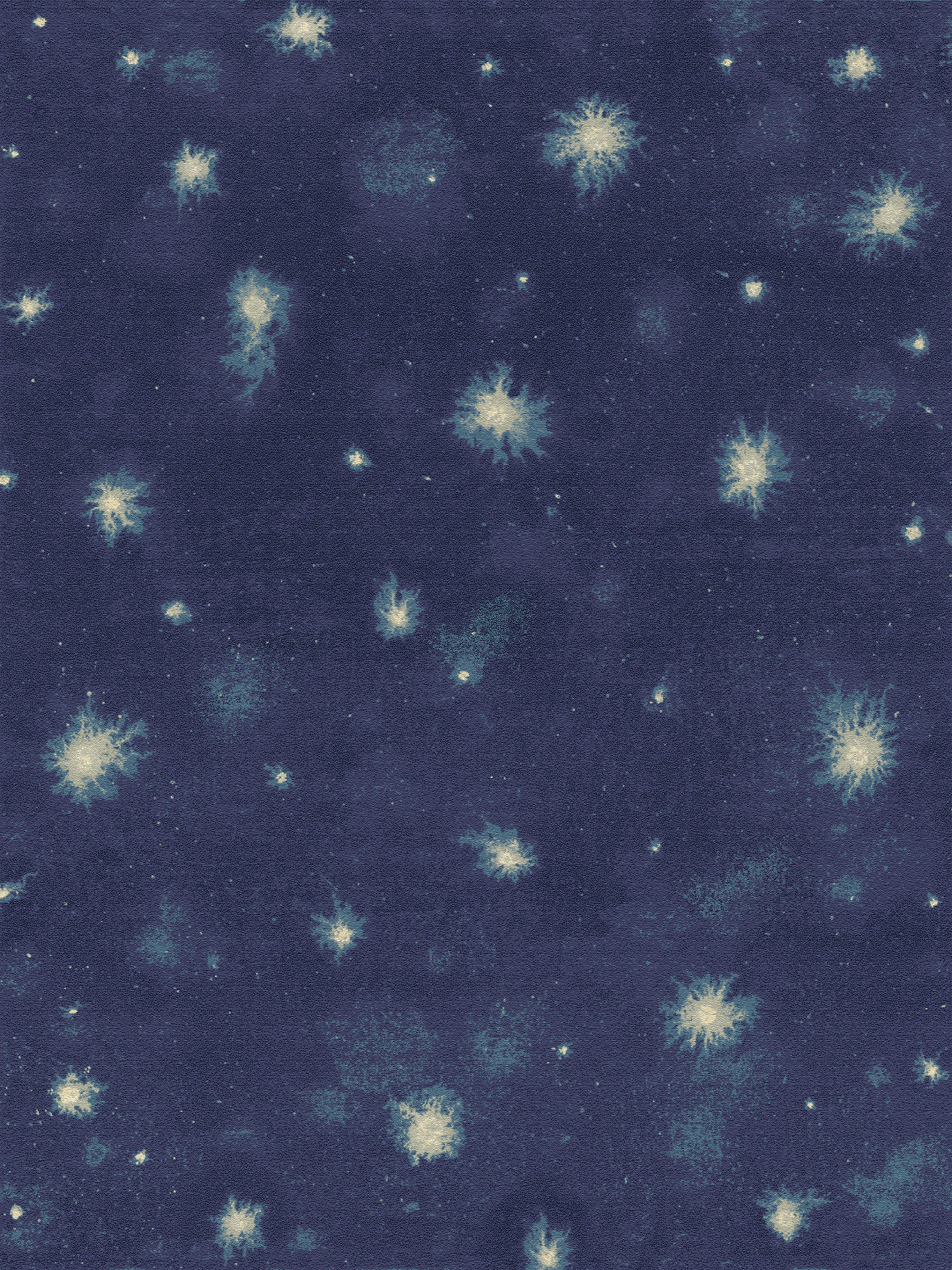 Starfield Blue rug design | Collection | Fort Street Studio
